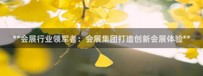 果搏代理：**会展行业领军者：会展集团打造创新会展体验**