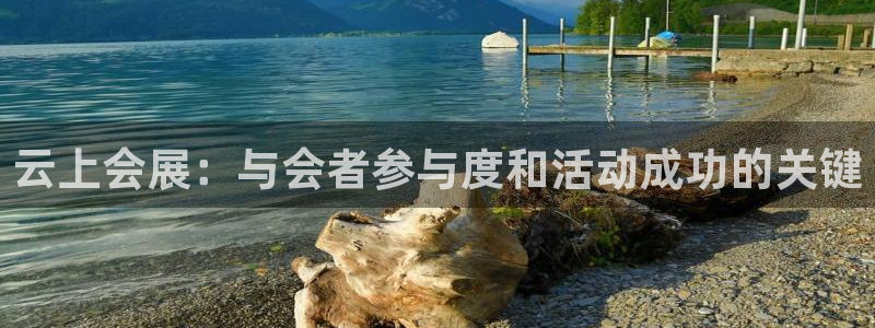 果博注册会员：云上会展：与会者参与度和活动成功的关键