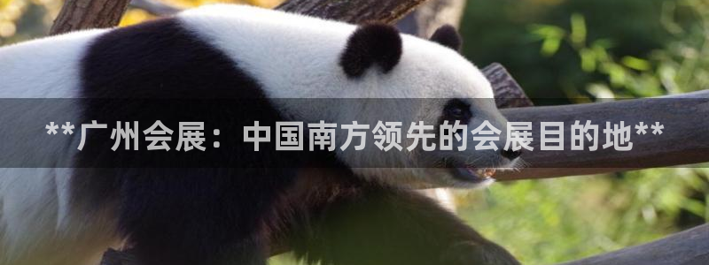 果博平台赖不赖：**广州会展：中国南方领先的会展目的地**