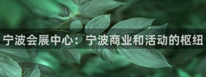 果博注册账号链接：宁波会展中心：宁波商业和活动的枢纽