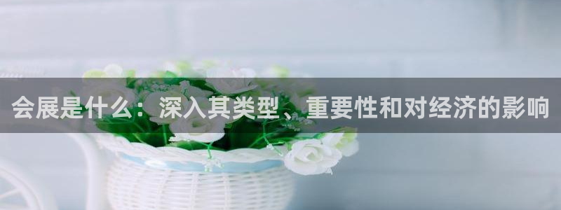 果博怎么注册账号和密码：会展是什么：深入其类型、重要性和对经济的影响