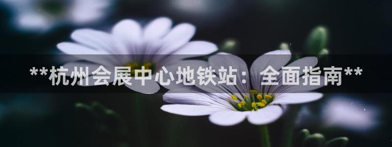 果博平台开户电话号码：**杭州会展中心地铁站：全面指南**