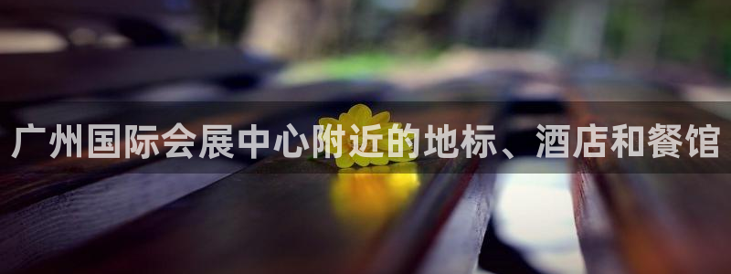 果博公司会员开户：广州国际会展中心附近的