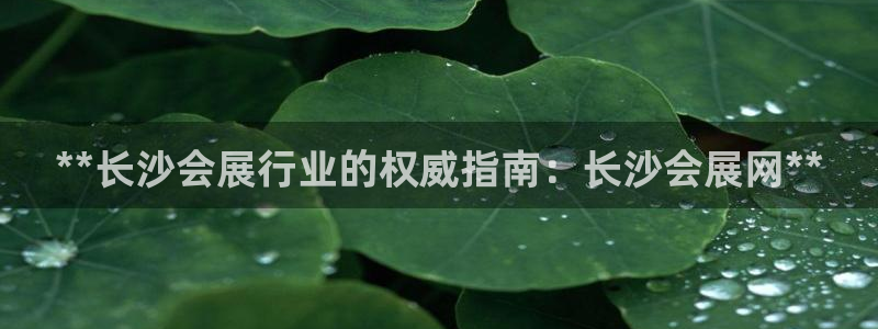 果博公司客服微信怎么加：**长沙会展行业的权威指南：长沙会展网**