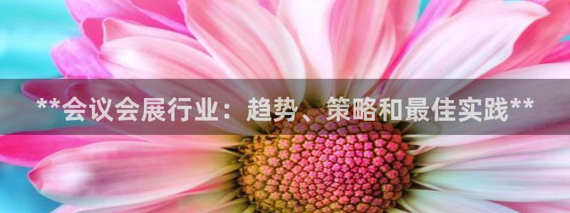 果博官网在银博：**会议会展行业：趋势、策略和最佳实践**