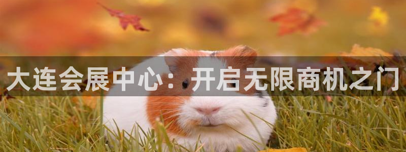 果博注册客服电话号码查询：大连会展中心：开启无限商机之门
