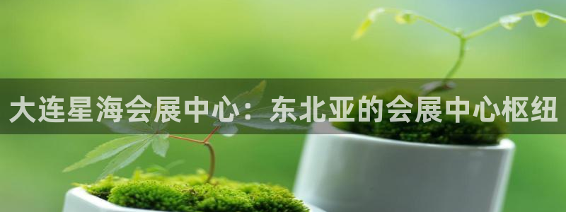 苹果手机能下载果博吗：大连星海会展中心：东北亚的会展中心枢纽