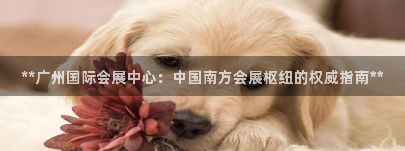 果博有假吗：**广州国际会展中心：中国南