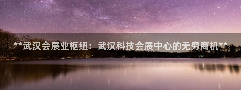 下载果博博东方下载：**武汉会展业枢纽：武汉科技会展中心的无穷商机**