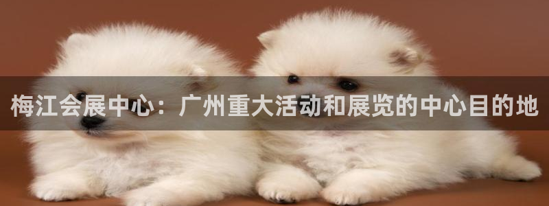 果博注册平台怎么注册账号：梅江会展中心：广州重大活动和展览的中心目的地