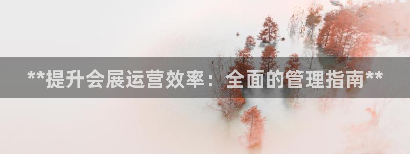 果博代理网：**提升会展运营效率：全面的管理指南**