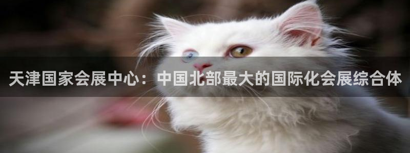 果博公司游戏网址：天津国家会展中心：中国北部最大的国际化会展综合体