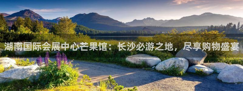 果博账号注册：湖南国际会展中心芒果馆：长沙必游之地，尽享购物盛宴
