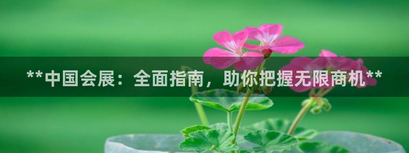 果搏代理：**中国会展：全面指南，助你把握无限商机**