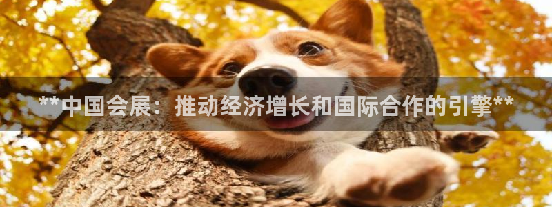 果博注册会员多少钱：**中国会展：推动经
