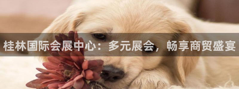 果博手机下载：桂林国际会展中心：多元展会，畅享商贸盛宴