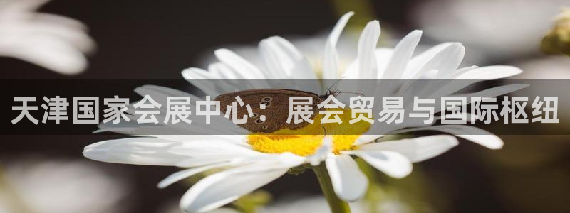 果博注册会员：天津国家会展中心：展会贸易与国际枢纽