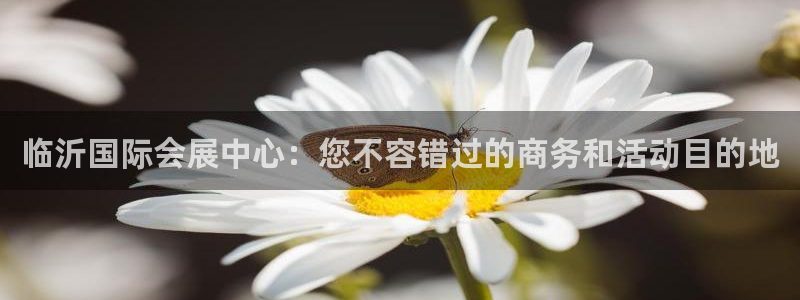 果博注册平台怎么注册的：临沂国际会展中心：您不容错过的商务和活动目的地