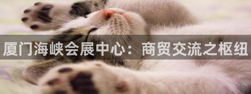 果博有假吗：厦门海峡会展中心：商贸交流之枢纽