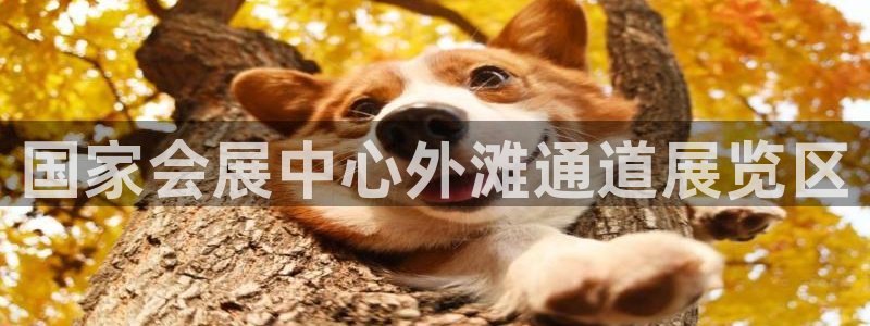 果博注册会员怎么注销：国家会展中心外滩通道展览区