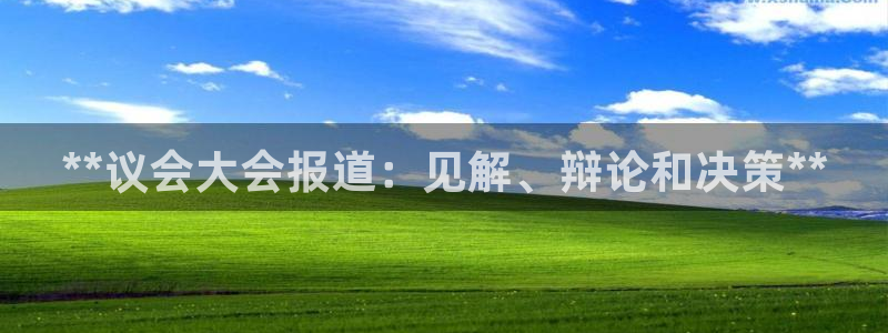 果博平台真实吗：**议会大会报道：见解、辩论和决策**