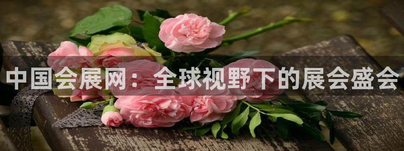 果博公司在线客服：中国会展网：全球视野下