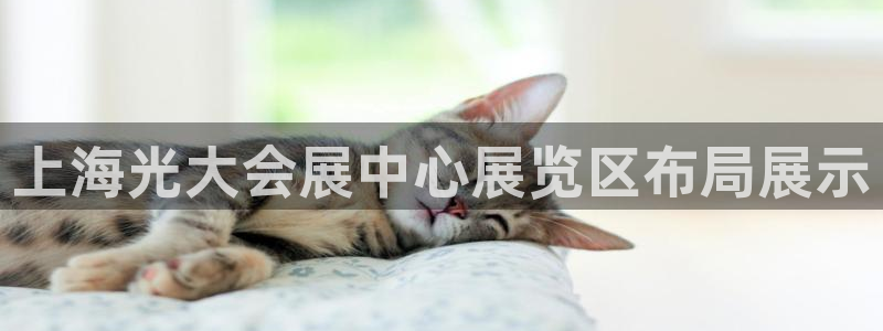 果博平台怎么下载?：上海光大会展中心展览区布局展示