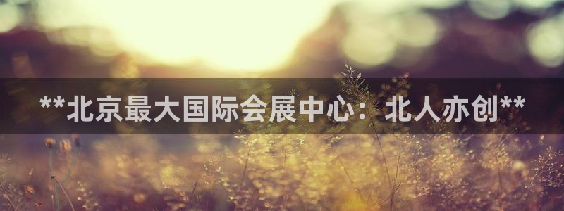 果博平台真实吗安全吗可信吗是真的吗：**北京最大国际会展中心：北人亦创**