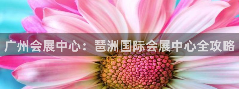果博平台苹果电脑怎么下载：广州会展中心：