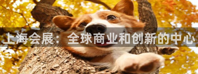 果博公司开户热线：上海会展：全球商业和创新的中心