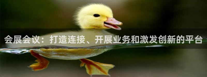 果博平台客服：会展会议：打造连接、开展业务和激发创新的平台