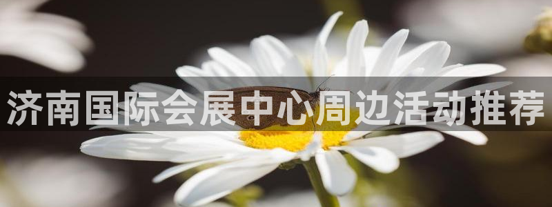 果博公司会员账号开户：济南国际会展中心周边活动推荐