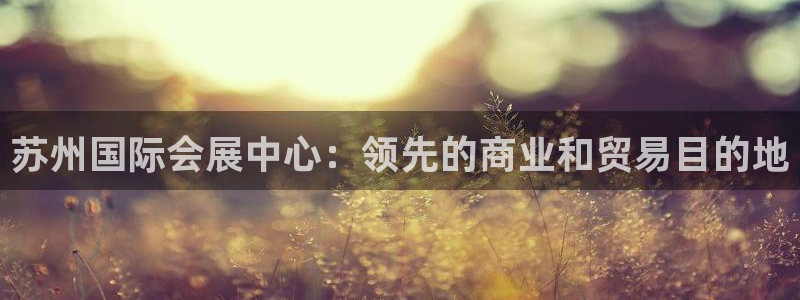 果博平台开户电话是多少：苏州国际会展中心：领先的商业和贸易目的地
