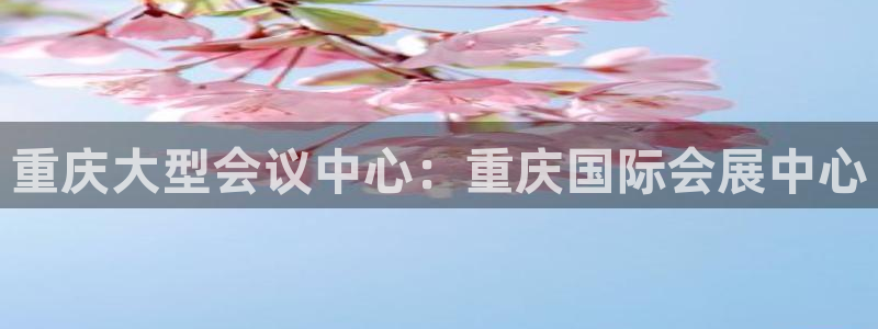 果博集团：重庆大型会议中心：重庆国际会展中心