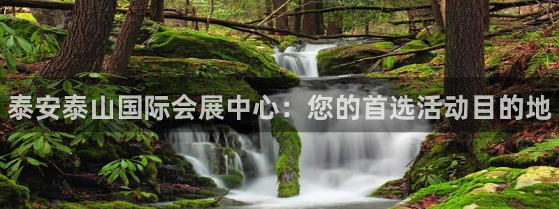 果博官网在银博：泰安泰山国际会展中心：您的首选活动目的地