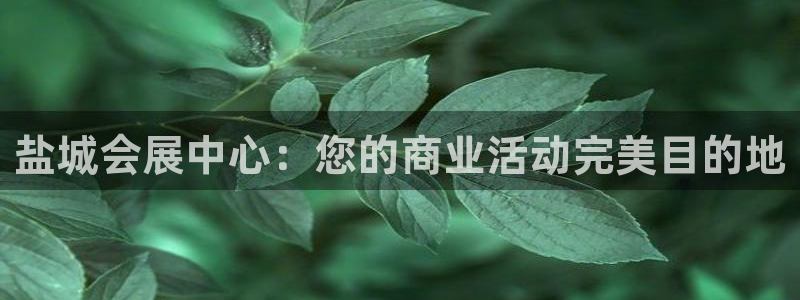 果博官方网：盐城会展中心：您的商业活动完美目的地