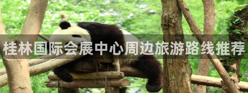 果博公司：桂林国际会展中心周边旅游路线推荐