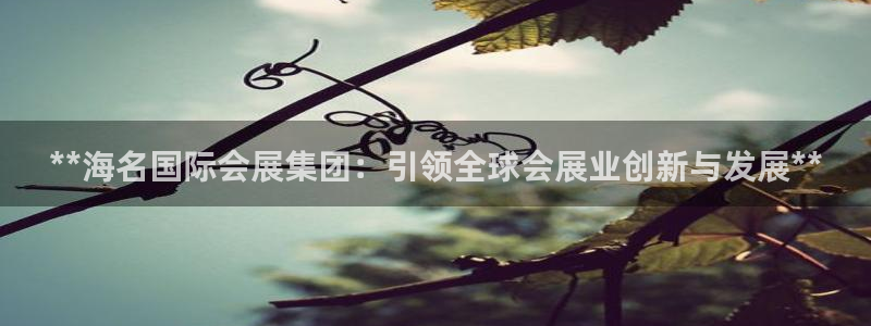 果博代理电话多少：**海名国际会展集团：引领全球会展业创新与发展**