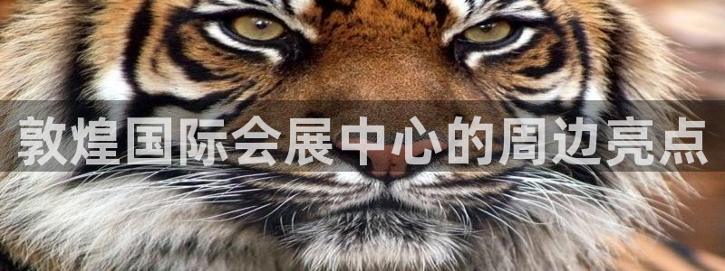 果博平台真实吗安全吗