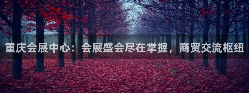 果博公司会员注册：重庆会展中心：会展盛会尽在掌握，商贸交流枢纽