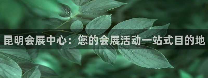 果博账号注册：昆明会展中心：您的会展活动一站式目的地
