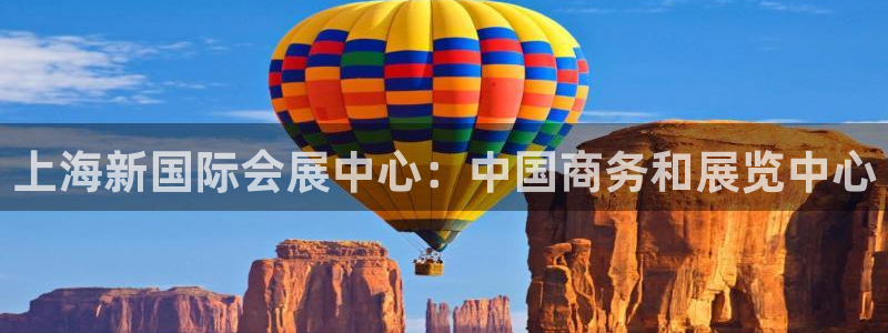 果博官网首页：上海新国际会展中心：中国商务和展览中心