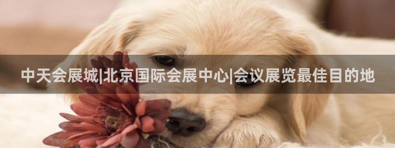 果博官网客服：中天会展城|北京国际会展中心|会议展览最佳目的地