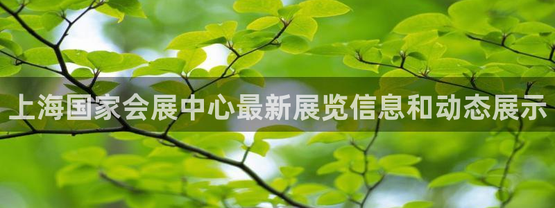 果博东官方网站怎么下载：上海国家会展中心最新展览信息和动态展示
