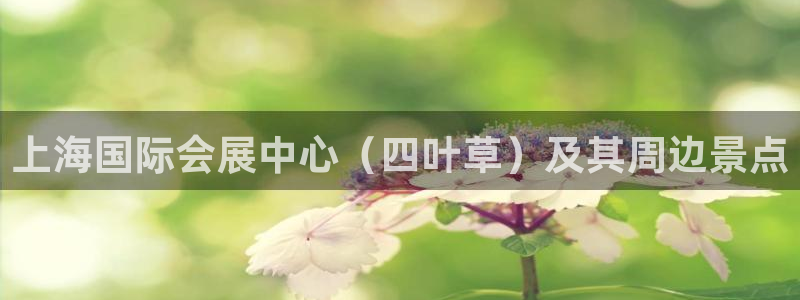 果博平台开户电话查询：上海国际会展中心（四叶草）及其周边景点