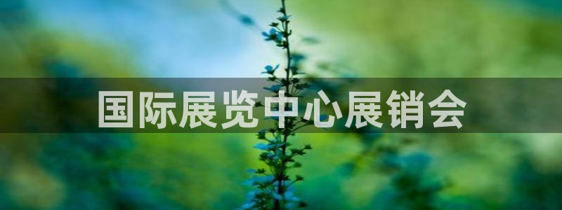 果博注册客服电话号码是多少：国际展览中心展销会