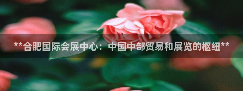 果博电话：**合肥国际会展中心：中国中部贸易和展览的枢纽**
