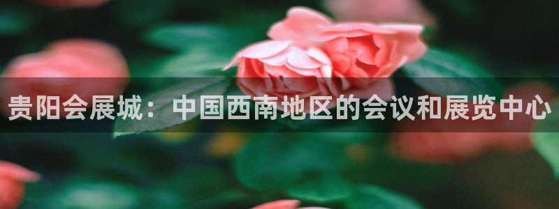 果博公司客服微信：贵阳会展城：中国西南地区的会议和展览中心