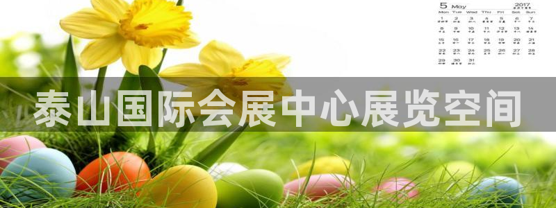 果博公司会员开户：泰山国际会展中心展览空间