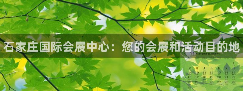 果博注册客服电话是多少号：石家庄国际会展